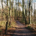 HawthornDene - HawthornWithAdele 5