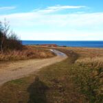 HawthornDene - HawthornWithAdele 7