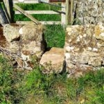HexhamCoastley - HexhamCoastley May2025 JB 14