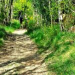 HexhamCoastley - HexhamCoastley May2025 JB 15