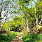 HexhamCoastley - HexhamCoastley May2025 JB 16