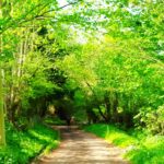 HexhamCoastley - HexhamCoastley May2025 JB 17