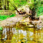 HexhamCoastley - HexhamCoastley May2025 JB 20