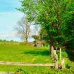 HexhamCoastley - HexhamCoastley May2025 JB 21