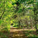 HexhamCoastley - HexhamCoastley May2025 JB 3