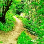 HexhamCoastley - HexhamCoastley May2025 JB 33
