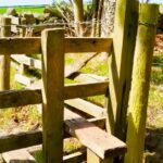 HexhamCoastley - HexhamCoastley May2025 JB 7