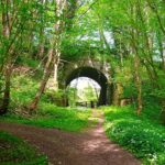 HexhamCoastley - HexhamCoastley May2025 MA 9