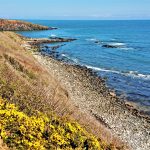 HowickCraster - HowickCraster-25042021M-16