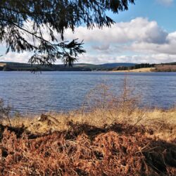 Kielder - Kielder