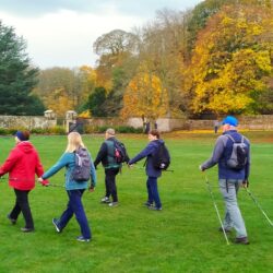 LearnToNordicWalk - LearnTo2025 4