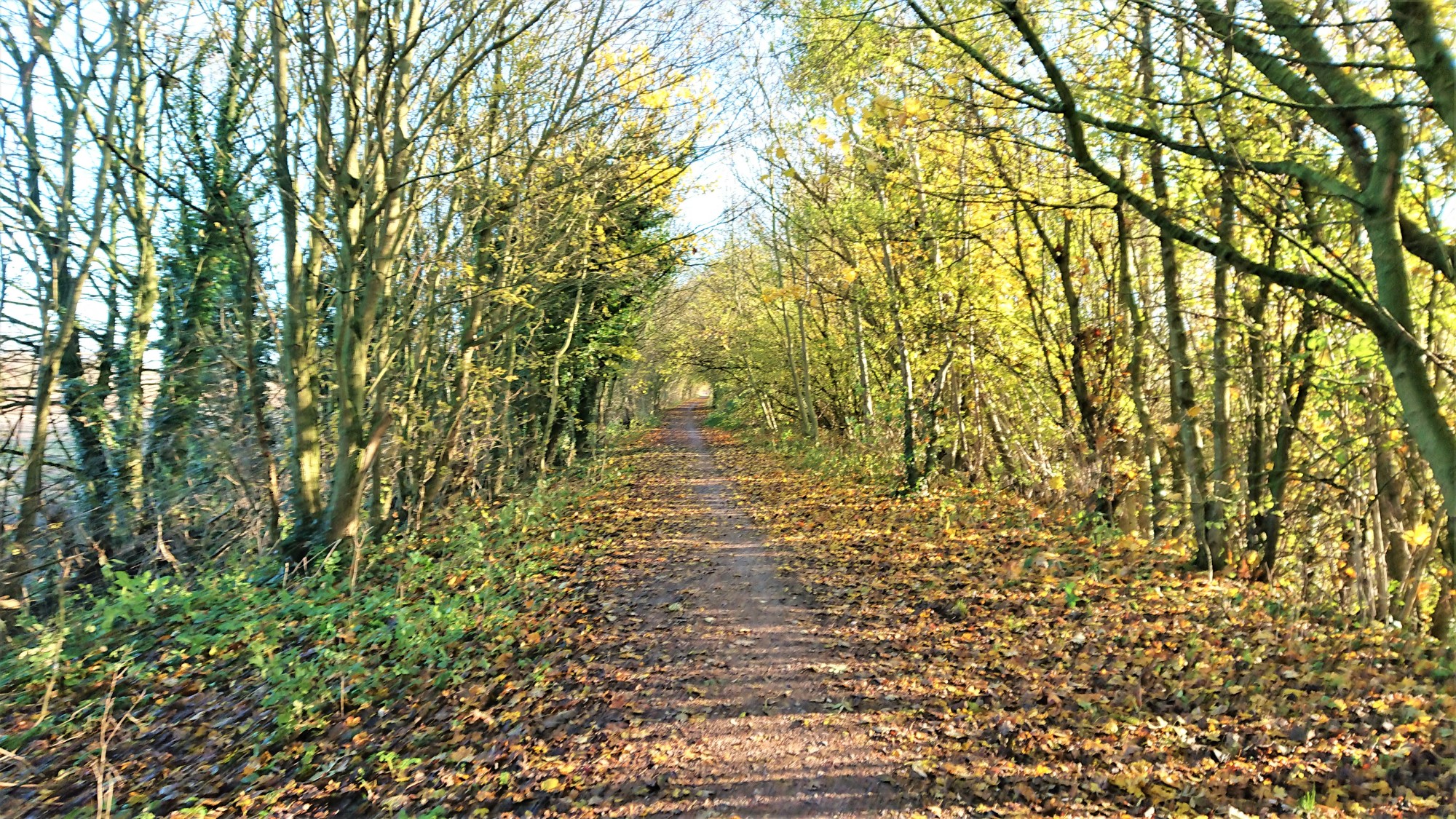 Crimdon Dene - Sept 2020 - Strolls With Poles - Nordic Walking