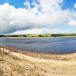 Fontburn - FontburnGreenleighton-3