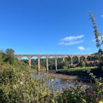 Whitby - Whitby 1